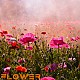 http://walet.zigum.now/data/editor/2508/thumb-3bb9c44514fd9a06f9e272613f3b30a5_1753976724_2376_80x80.jpg
